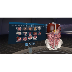 3D Organon VR for your Standalone VR headset | Premium