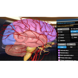 3D Organon XR for your Standalone VR headset | Standard