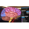 3D Organon XR for your Standalone VR headset | Standard