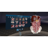 3D Organon XR for your Standalone VR headset | Standard