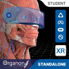 3D Organon XR for your Standalone VR headset | Standard