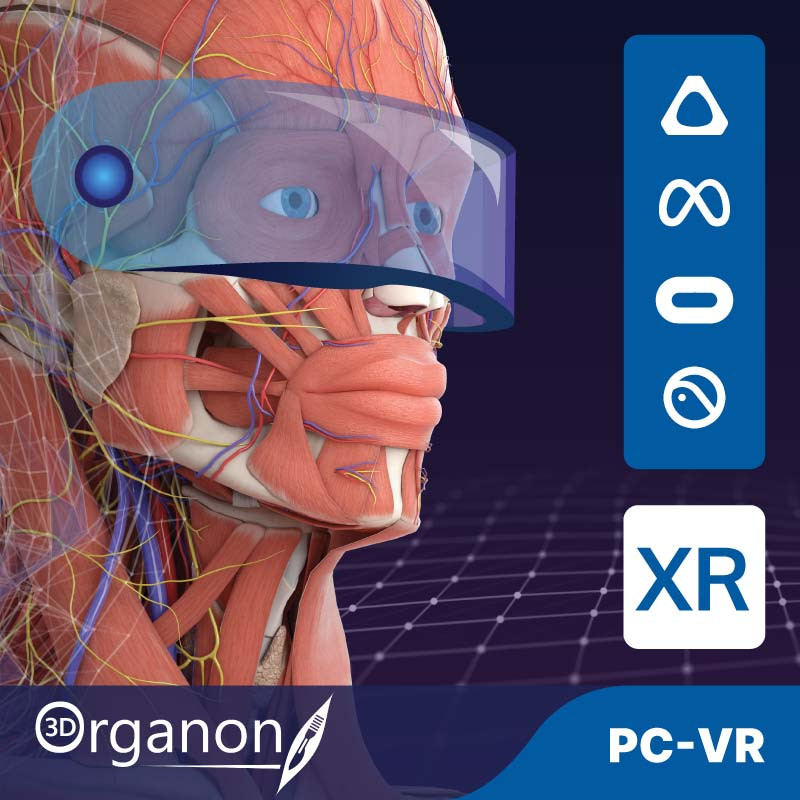 3D Organon XR | Standard