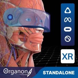 3D Organon VR for your Standalone VR headset | Premium