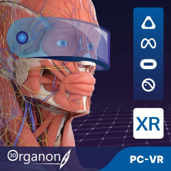 3D Organon XR | Premium