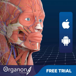 3D Organon for Professionals