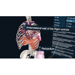 3D Organon XR | Premium