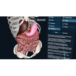 3D Organon XR | Premium