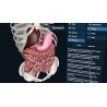 3D Organon XR | Premium