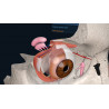 3D Organon XR | Premium