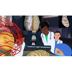 3D Organon XR | Premium