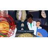 3D Organon XR | Premium