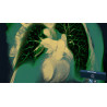 3D Organon XR | Premium