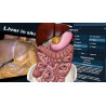 3D Organon XR | Premium