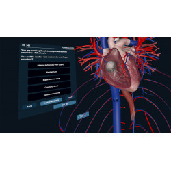 3D Organon XR | Premium