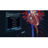 3D Organon XR | Premium