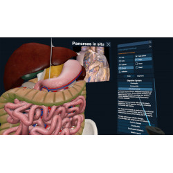 3D Organon XR | Premium