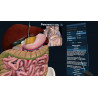 3D Organon XR | Premium