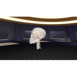 3D Organon XR | Premium