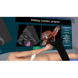 3D Organon XR | Premium