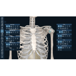 3D Organon for Professionals