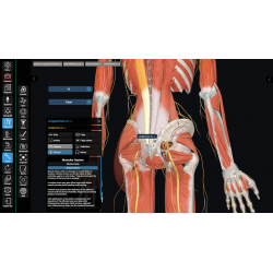 3D Organon for Professionals