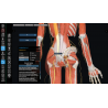 3D Organon for Professionals