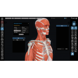 3D Organon Anatomy for Professionals