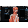 3D Organon for Professionals