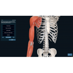 3D Organon for Professionals