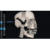3D Organon for Professionals