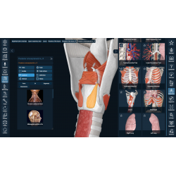 3D Organon Anatomy for Professionals