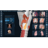3D Organon for Professionals