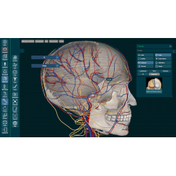 3D Organon for Professionals