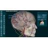 3D Organon Anatomy for Professionals