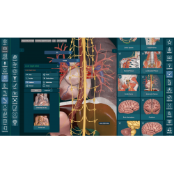 3D Organon Anatomy for Professionals