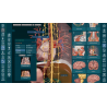 3D Organon for Professionals