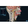3D Organon for Professionals