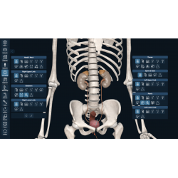 3D Organon Anatomy for Professionals