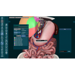 3D Organon for Professionals