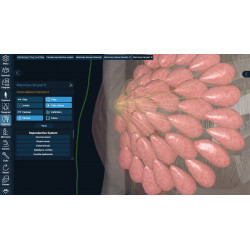 3D Organon for Professionals
