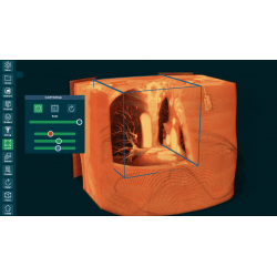 3D Organon for Professionals