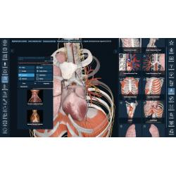3D Organon Anatomy for Professionals