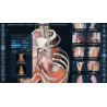3D Organon for Professionals