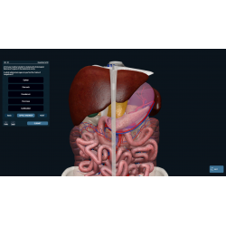 3D Organon VR Anatomy for your Standalone VR headset | Standard