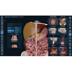 3D Organon for your desktop | Standard