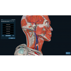3D Organon VR Anatomy for your Standalone VR headset | Standard