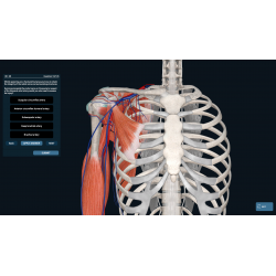 3D Organon VR Anatomy for your Standalone VR headset | Standard