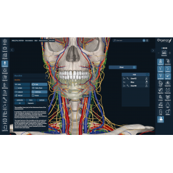 3D Organon for your mobile | Standard
