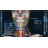3D Organon VR Anatomy for your Standalone VR headset | Standard