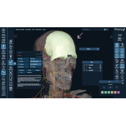 3D Organon VR Anatomy for your Standalone VR headset | Standard